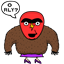 viandroto