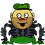 acassis
