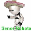 senorroboto