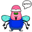 mcain