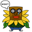 noname70