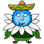 snoh84