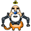 Nikkoli