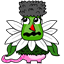 coollaydbugs