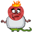 constancesnow