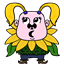 nooliegoo