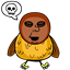 HCprice