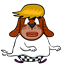 sk8erdh36