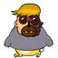 aafrantz