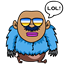 cbashaar