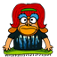 csfels