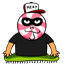 Kamkazemoose