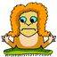 foolsdance