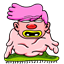 chicosalt