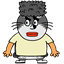 amadensor