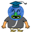 rain62