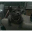 wendixy