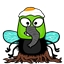 midori