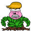 stangerfl