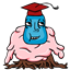 halfchuck