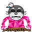 srshellsrs