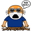 p4nd3m1c