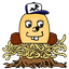bayswimjim
