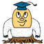 kidverde