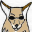 Coyoty