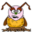 broox9