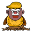 dunvi