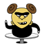 dingo11