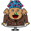 wileyhas