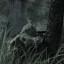 thesnipe