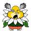 glubash
