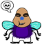 amyfreekolb