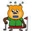 zanyj