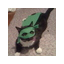 darthguapo